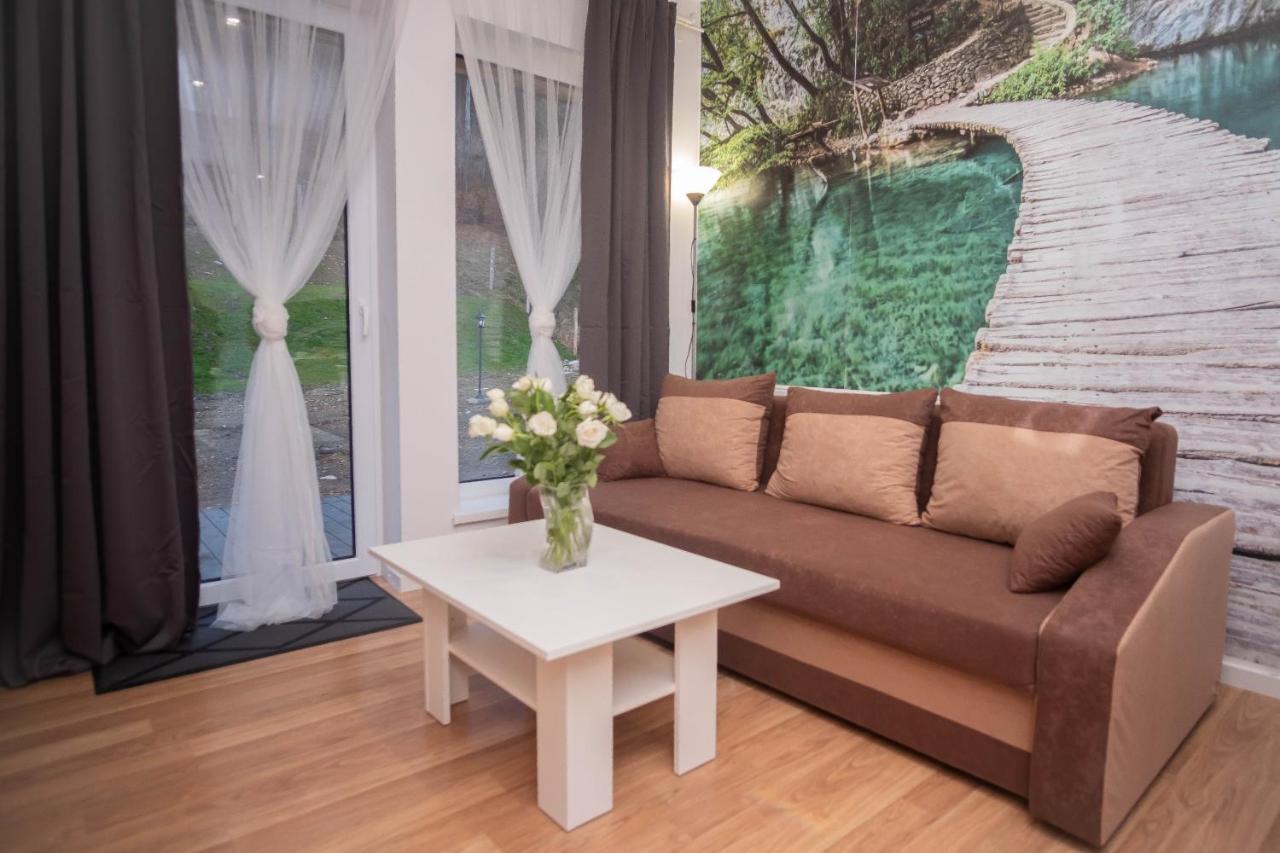Apartamenty Goszowita Строне-Слёнске Экстерьер фото